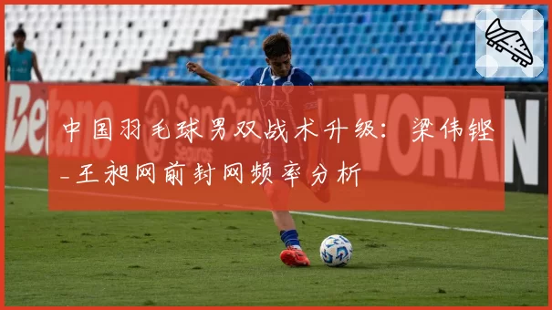 中国羽毛球男双战术升级:梁伟铿_王昶网前封网频率分析