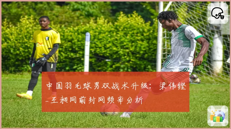 中国羽毛球男双战术升级：梁伟铿_王昶网前封网频率分析