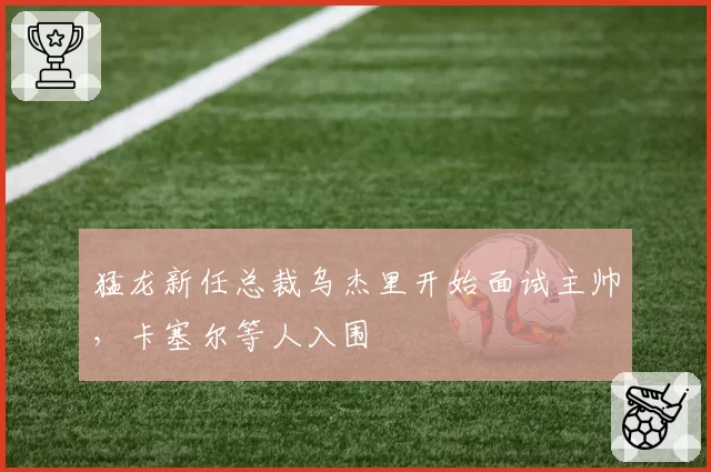 猛龙新任总裁乌杰里开始面试主帅,卡塞尔等人入围