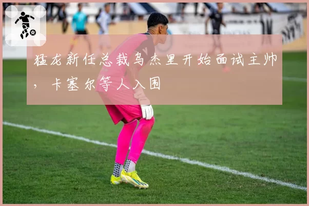 猛龙新任总裁乌杰里开始面试主帅,卡塞尔等人入围